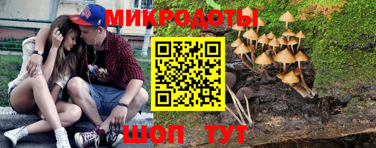Псилоцибиновые грибы Magic Shrooms  Вход с VPN  Петрозаводск 